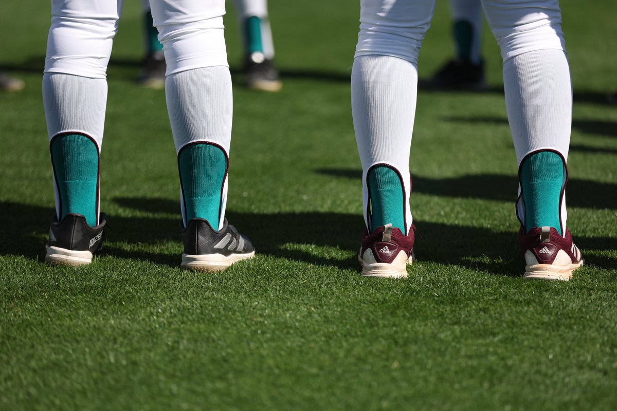 AggieSoftball's tweet image. No one fights alone 🦋

#AllForAlex