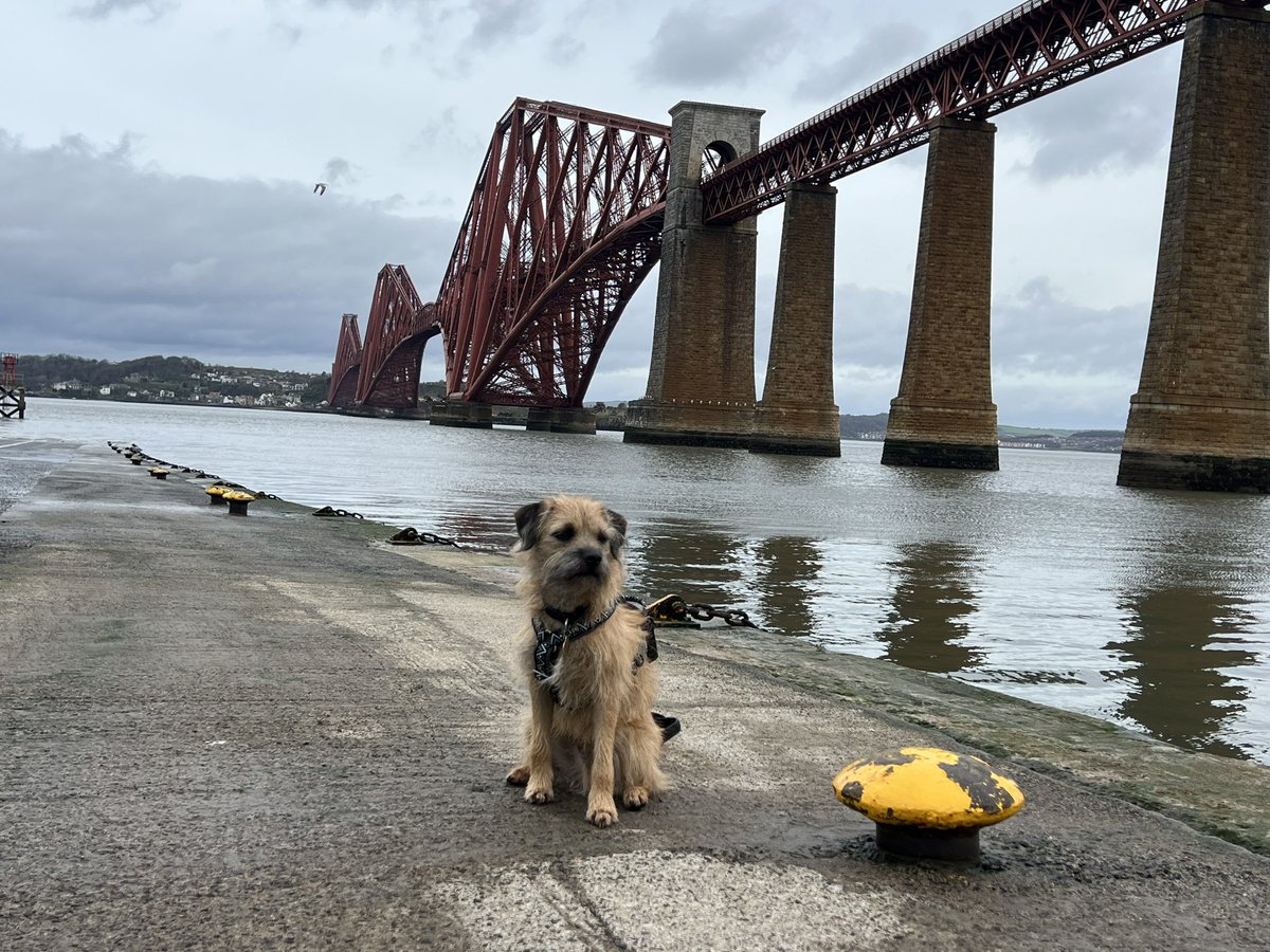 MacBark's tweet image. Hey #BTPosse pals I think this would look ace on a giant canvas. What you think @no1border