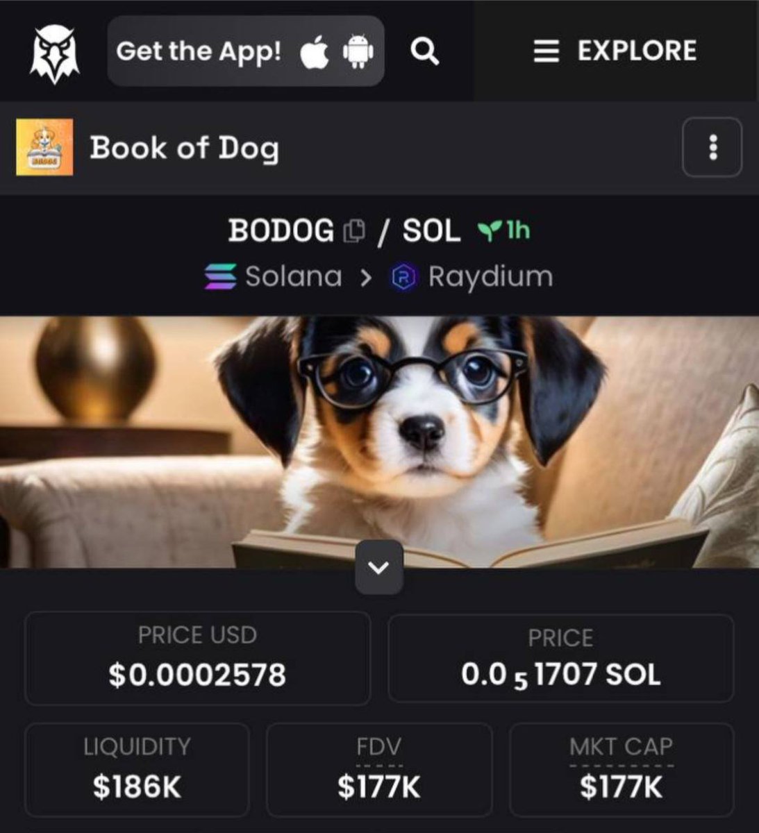 bookofdogtoken's tweet photo. All details updated on dexscreener! https://t.co/QAGAlz9rku