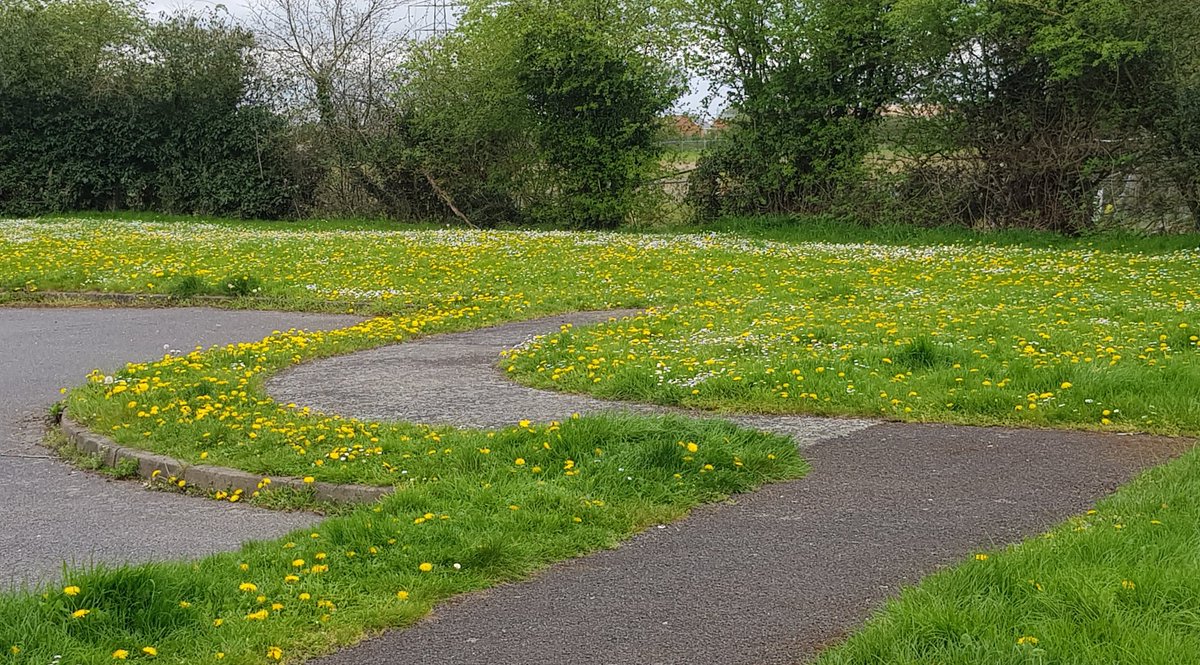 Just a few pieces of #litter collected on our walk today. The #verges look stunning at the moment & 🤞 it stays that way for a while. @bigmeadowsearch @LGSpace @DandelionAppre1 @SDDC @DerbysWildlife @Derbyshirecc #lovewhereyoulive #BoultonMoor