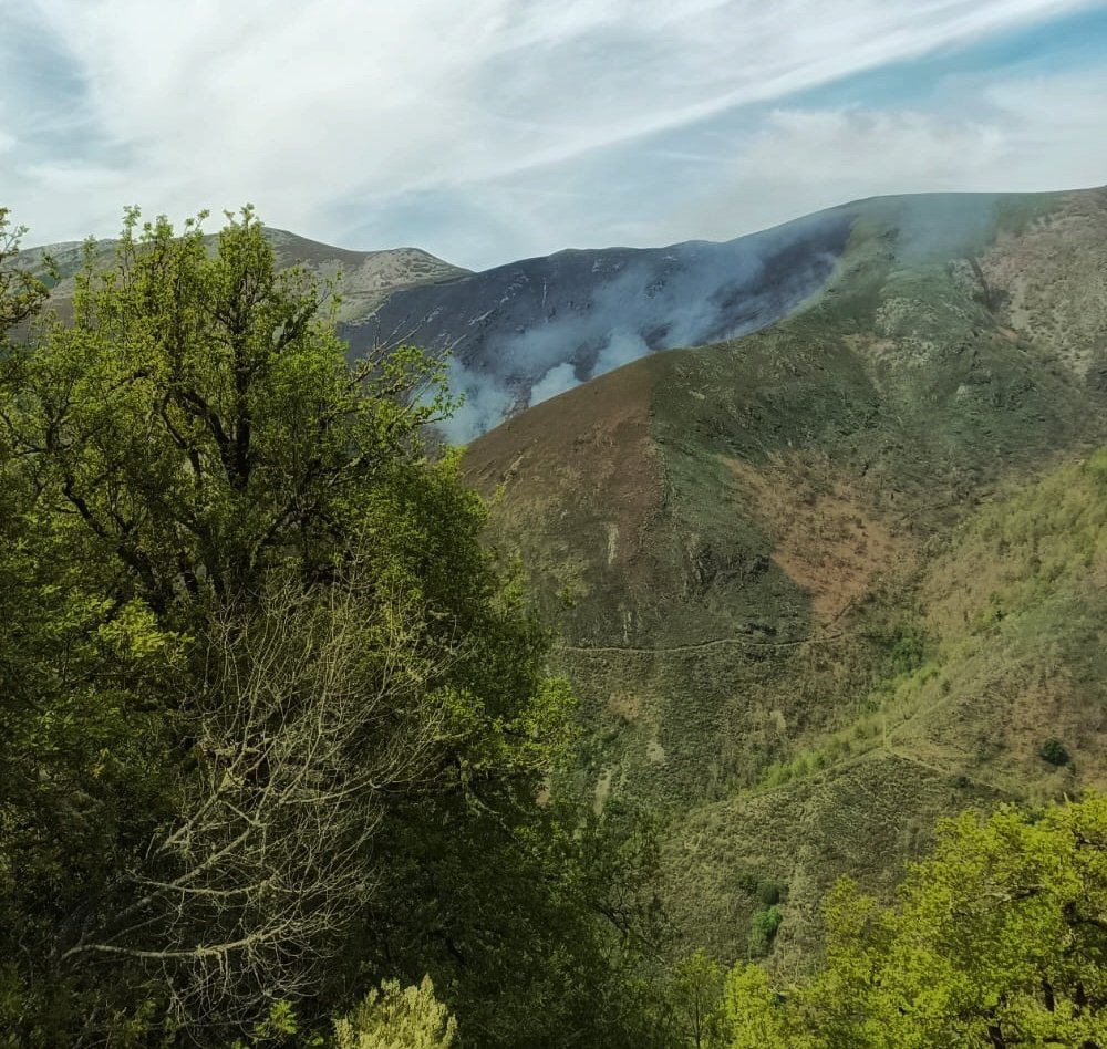 Geotrupes_'s tweet photo. El fuego a las puertas de #Muniellos una vez más. Los de siempre, donde siempre.
Crucemos los dedos 🤞 https://t.co/9ZgLcDQCur