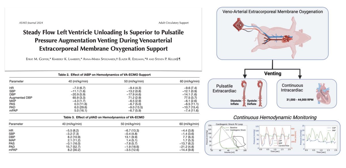 🔍🐖 Experimental in-vivo model of acute CS 
🫀 combined #MCS with peripheral VA #ECMO + pVAD decreased LVEDP & SW while maintaining coronary perfusion pressure and systemic perfusion pressure gradients vs #ECLS alone or ECLS + #IABP
On @asaiojournal 
🖇️ bit.ly/3JdWpdQ