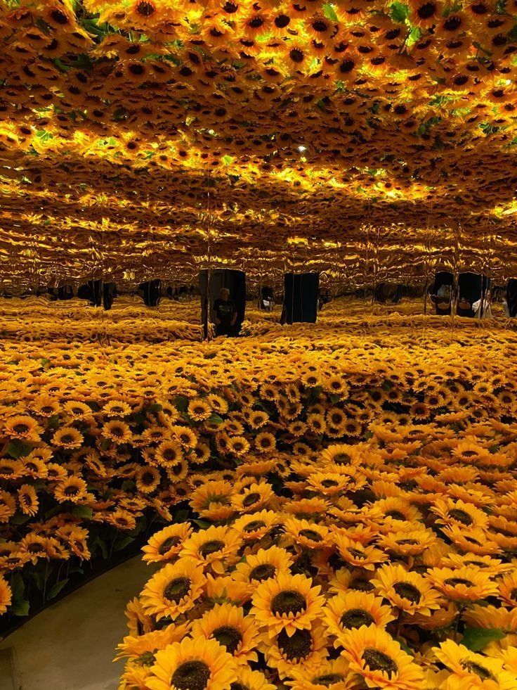 sunflower room
