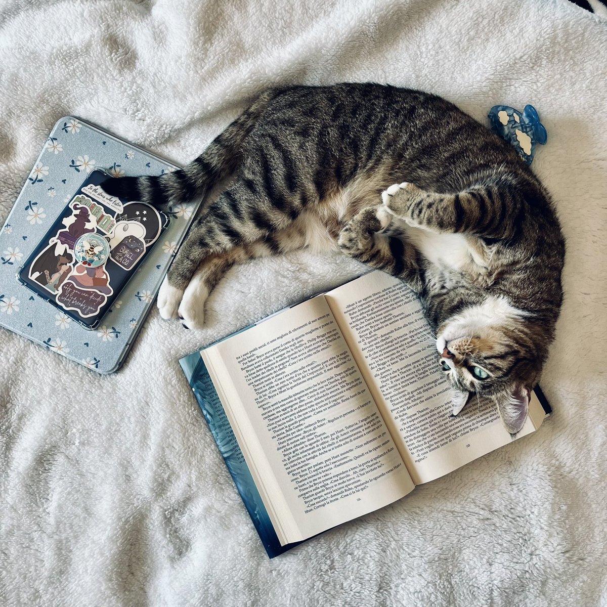 Wendysdreams's tweet photo. Attualmente in lettura: Crescent City- la casa di cielo e aria ☁️

Voi che leggete di bello? https://t.co/prRwTtsCCw