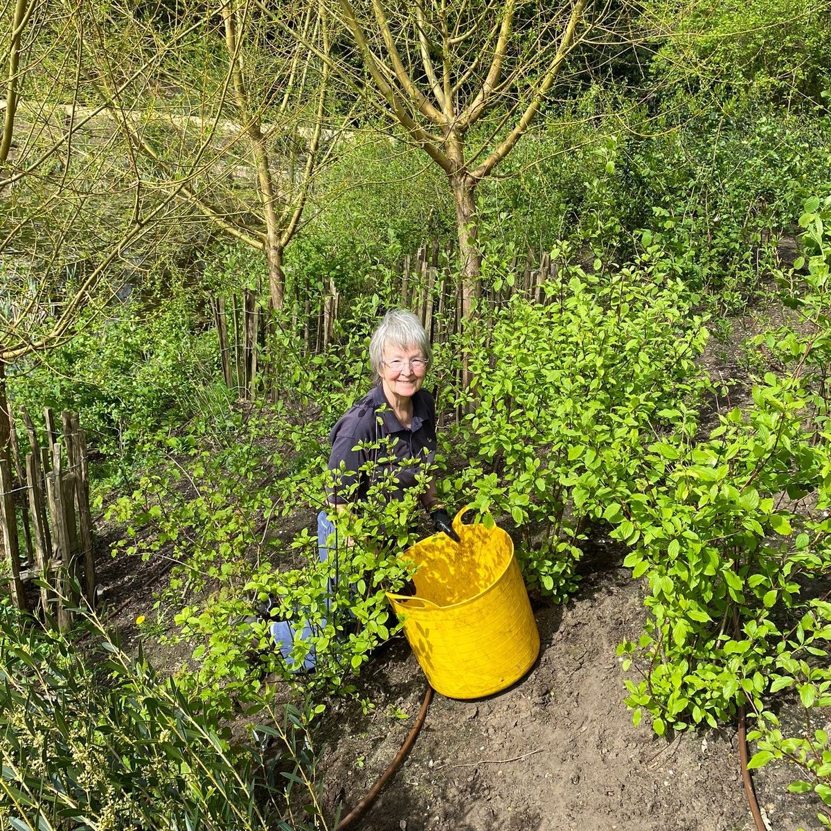 NTinBath's tweet photo. With spring finally here the garden team have been busy at #PriorPark. This week our wonderful volunteers have strimmed the edges after the grass cut and worked hard in the borders to stay on top of the weeds. What jobs will you do this #NationalGardeningDay? https://t.co/hWBECi2LCf