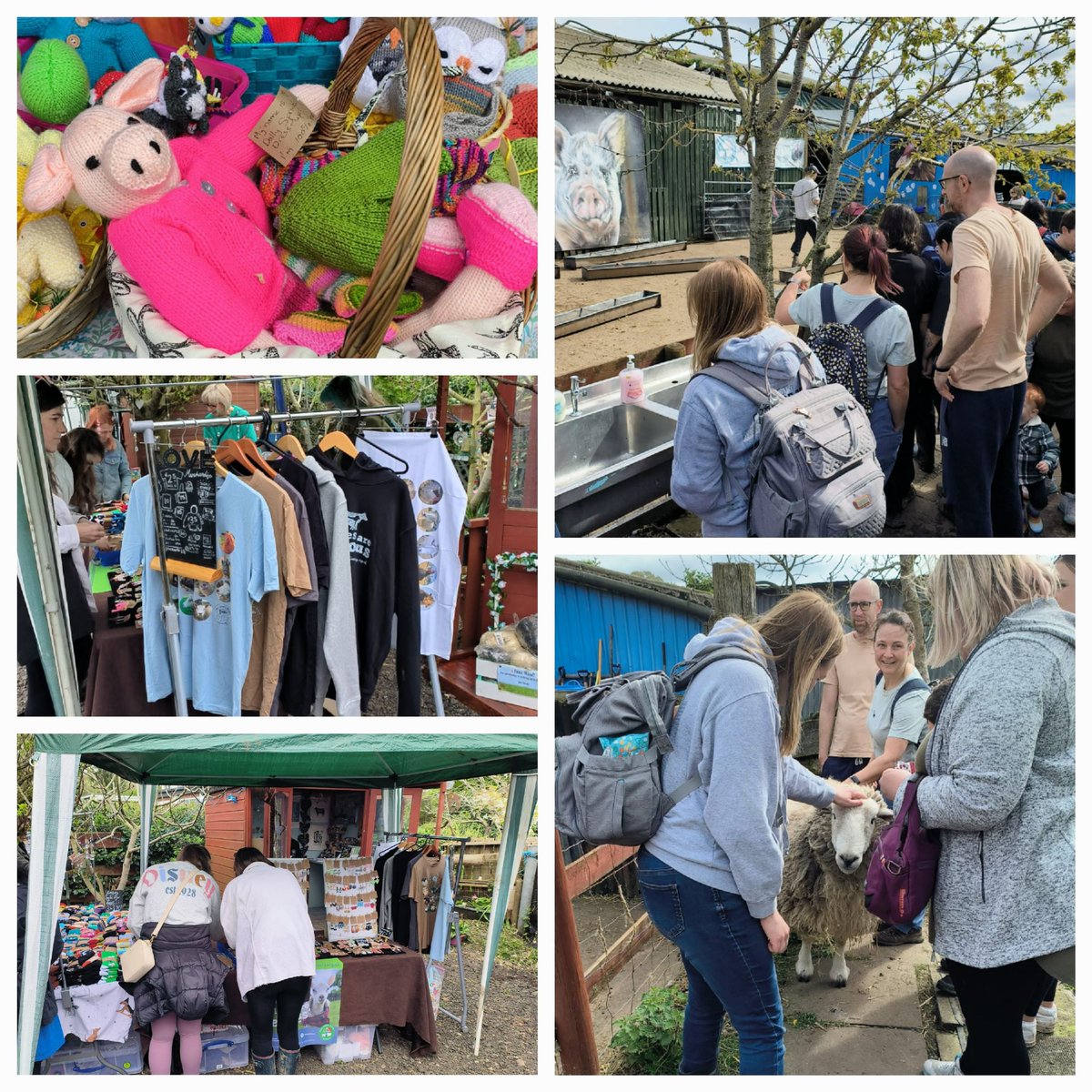 The weather was a little kinder to us than expected at the first of our 2 spring open days 🌷🌤🙏 Lots of you came, & made us & the animals v happy indeed 🤗🐑🐖🐔 And Sunday we do it all again! Join us if you can – tickets on website or at the gate 💖 farmanimalrescuesanctuary.co.uk/product/easter…