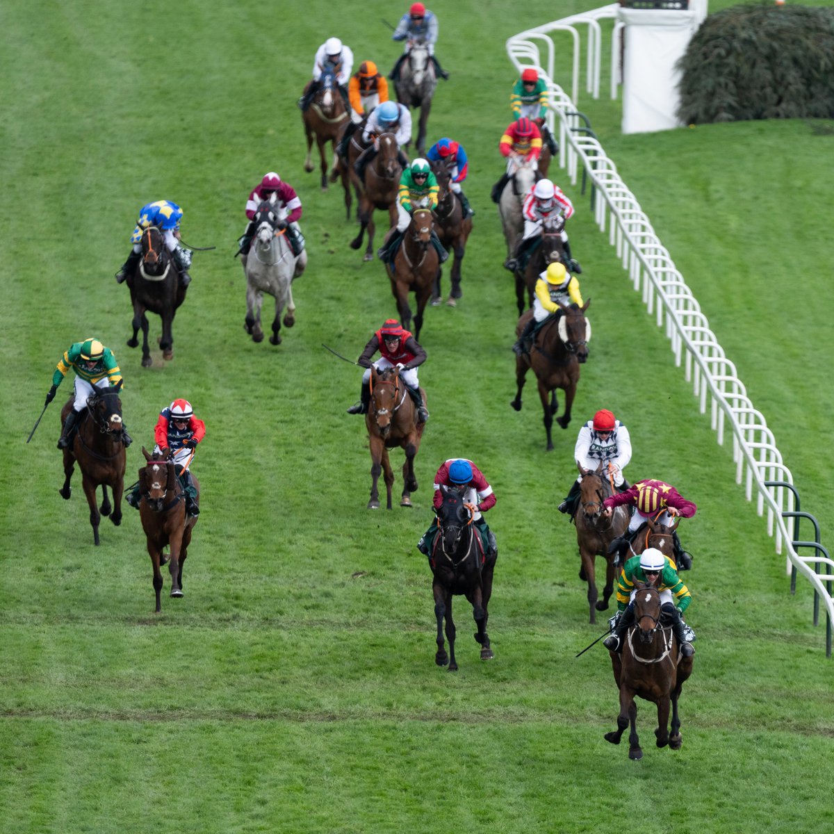 Racing Post tweet media