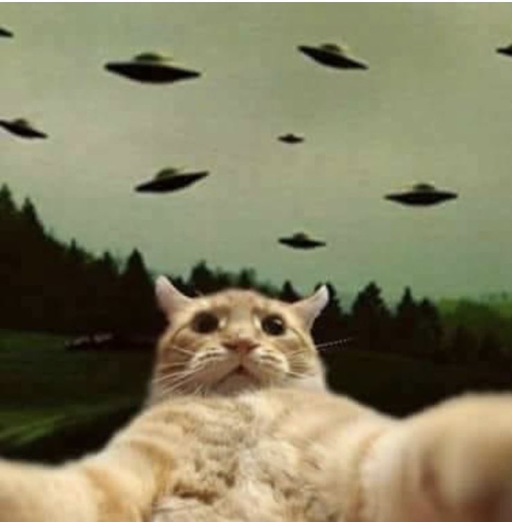 <a href="/ChuckCallesto/">Chuck Callesto</a> Is it the UFO phase of the psy-op yet?