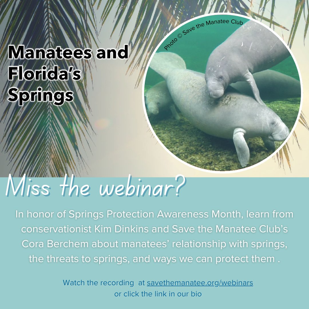 April is #SpringsProtectionAwarenessMonth and what better time than to learn about Florida Springs and manatees!
Watch our pre-recorded webinar at savethemanatee.org/webinars 
#manatee #savethemanatee #webinar #manateewebinar