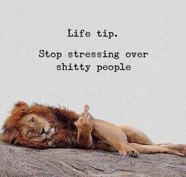 Hello you beautiful bunch it's #straighttalkingsaturday time again with a short, sharp life tip 😉🤔💜 #YouMatterAlways #sayitasitis #lighthearted #livelovelaugh #stressrelease #letitout #getitoffyourchest