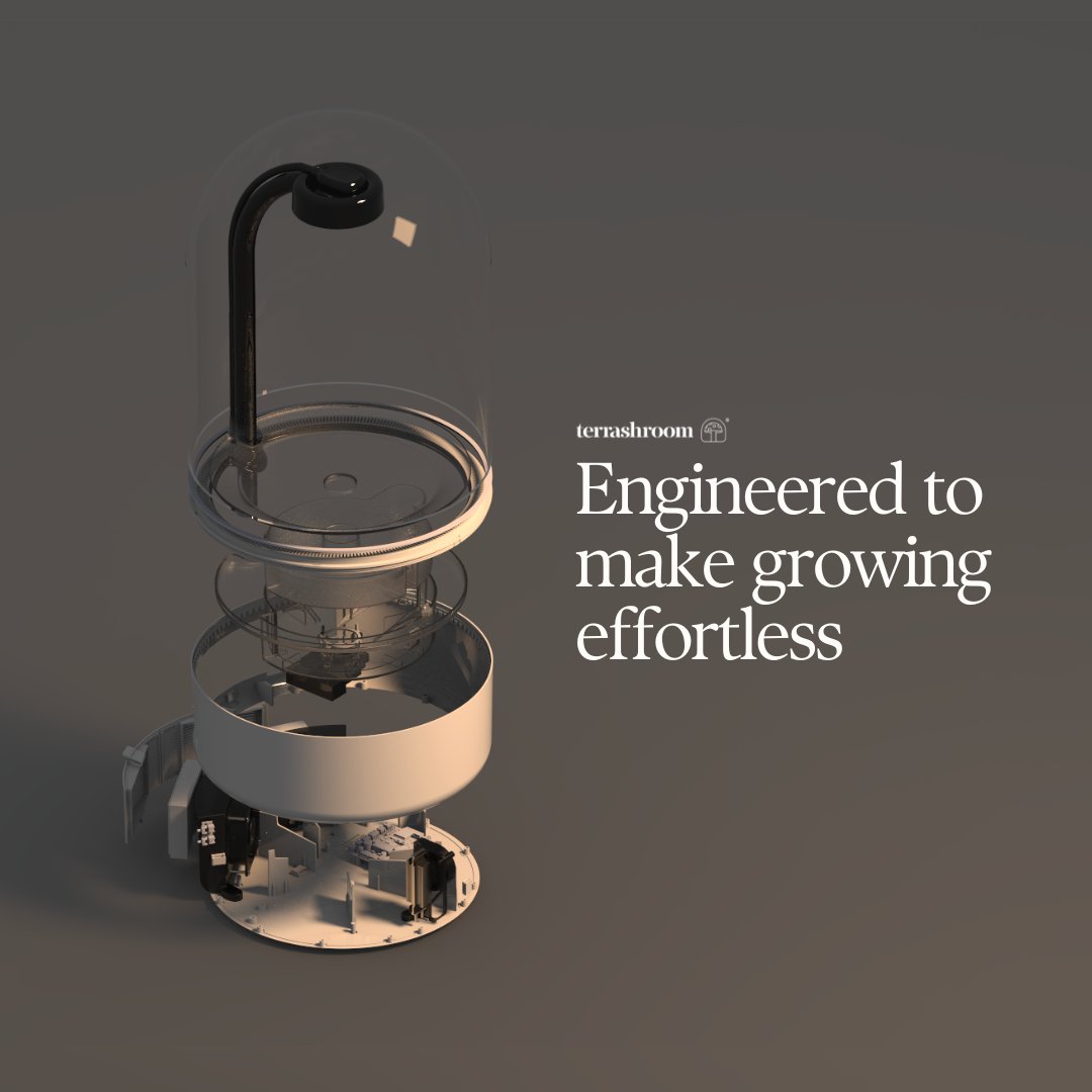 The easiest mushrooms you've ever grown🍄