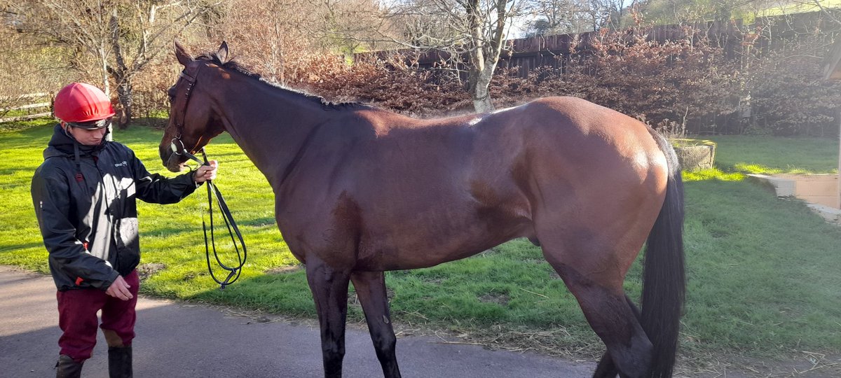 Jon Hughes (@ownersforowners) on Twitter photo Luttrell Lad sends his congrats to I Am Maximus. Our lad beat him giving 7lbs at Exeter a few years ago. Very well done and Willie Mullins heading to be Champion Trainer? <a href="/C_HartEquine/">Claire Hart Equine</a> Luttrell Lad sends his congrats to I Am Maximus. Our lad beat him giving 7lbs at Exeter a few years ago. Very well done and Willie Mullins heading to be Champion Trainer? <a href="/C_HartEquine/">Claire Hart Equine</a>