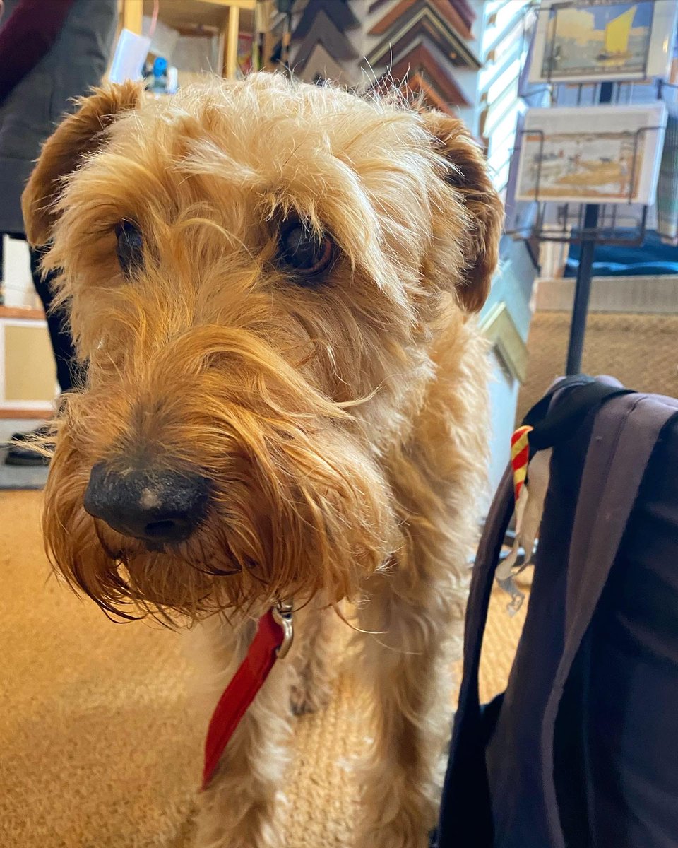 KillingB designs tweet media