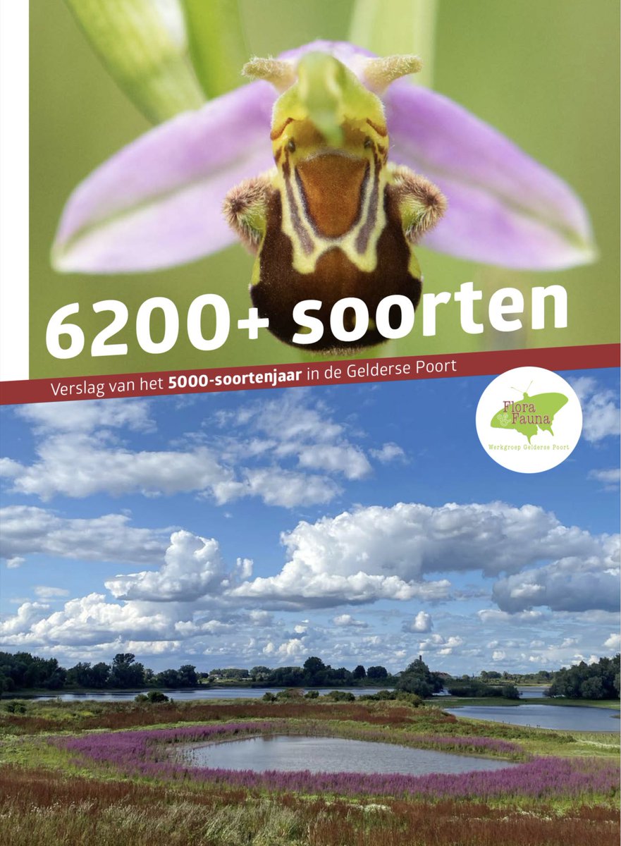 #Soortenrijkdom | Mooi magazine over het 5000-soortenjaar in de Gelderse Poort, het gebied waar de Rijn ons land binnenkomt en vertakt in Waal, Nederrijn en IJssel: arkrewilding.nl/sites/default/… @ARKNatuur 💧Veel info, foto’s en interviews, ook van hotspot #Millingerwaard