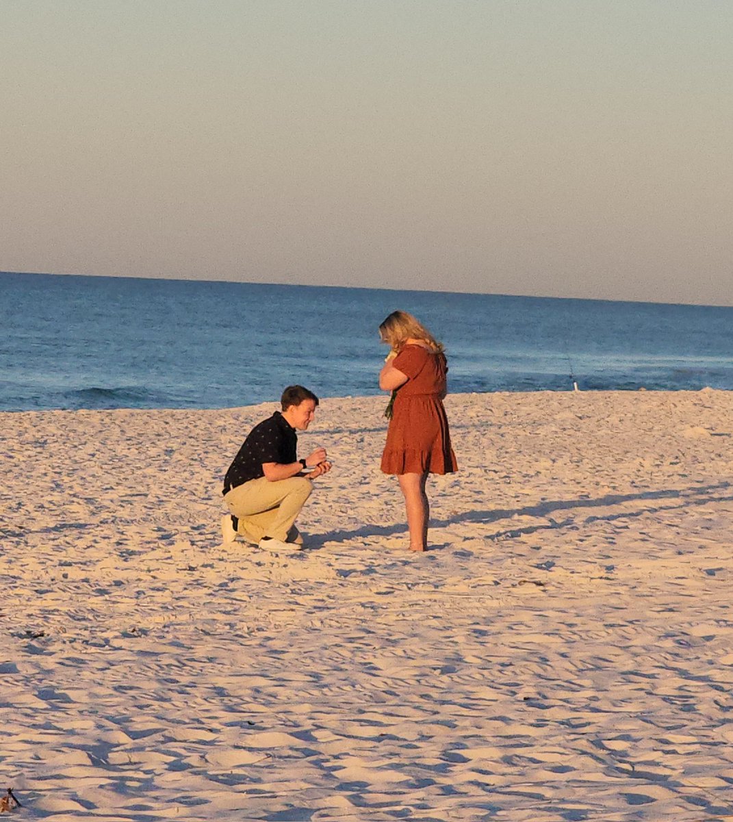 TC Nipper tweet media