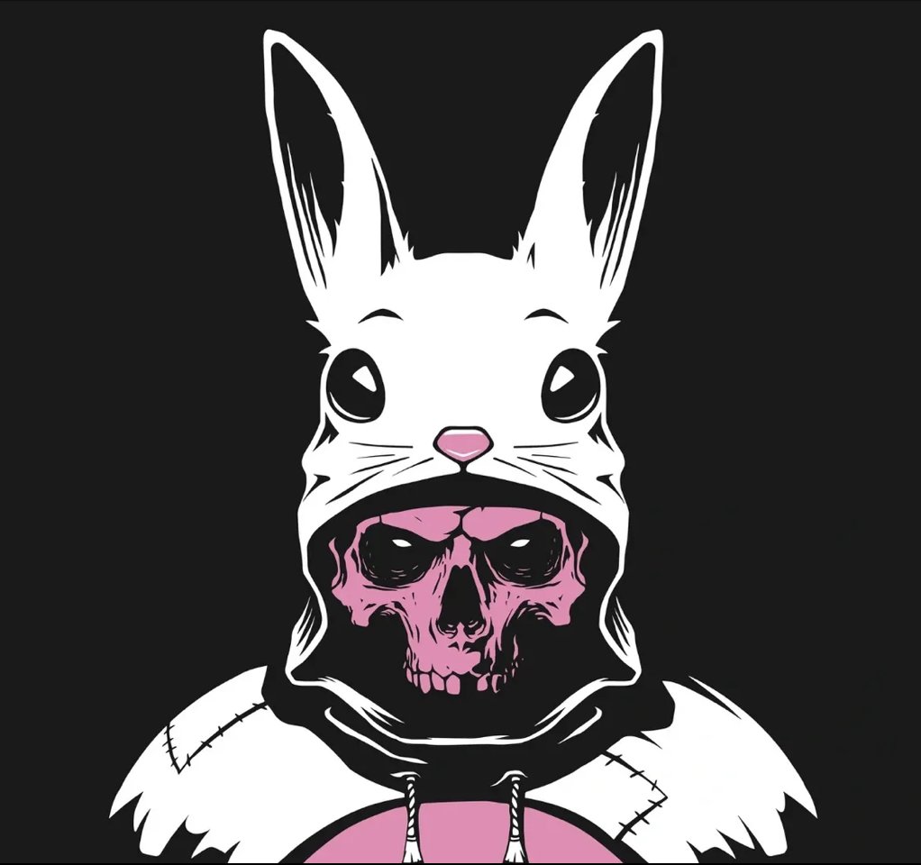 RabbitInTheMask's tweet photo. I am 🐰💀 RABBIT IN THE MASK https://t.co/4RsxHkjAi5 https://t.co/oFZW9oDah5