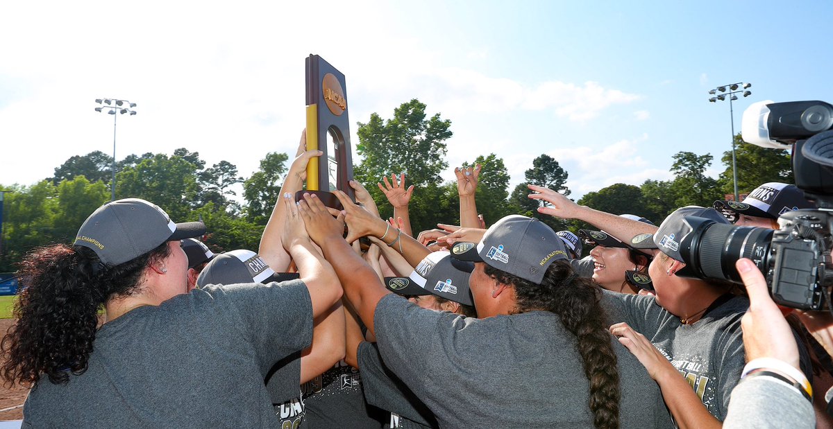 TLU Softball tweet media