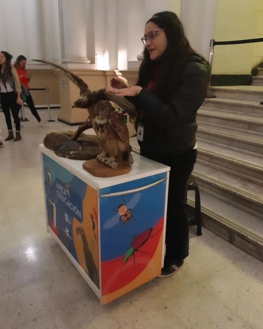 Hoy es el último día de práctica de Danitza, quien los espera hoy con un carro educativo sobre aves rapaces #educaciónmnhn