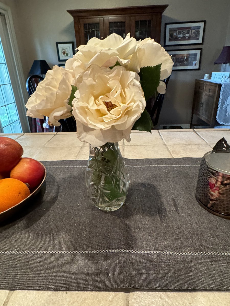 Picked these beauties from our rose garden this morning.