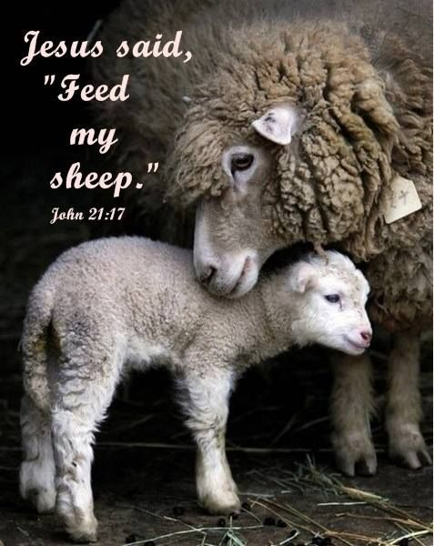 Ezekiel 34:2

"Son of man, prophesy against
the shepherds of Israel.
Prophesy and tell them that
this is what the Lord GOD says:
'Woe to the shepherds of Israel,
who only feed themselves!
Should not the shepherds feed their flock?