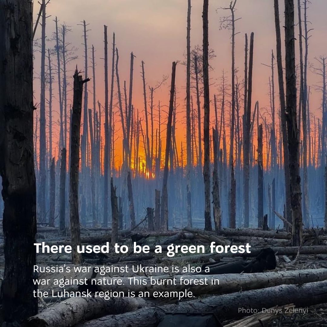 Russia has turned Ukrainian forests into battlefields, burning everything alive in their path and defiling them with trenches. Protecting Ukrainian forests today means preserving the ecology of the entire world tomorrow 🌳 #StopEcocideUkraine