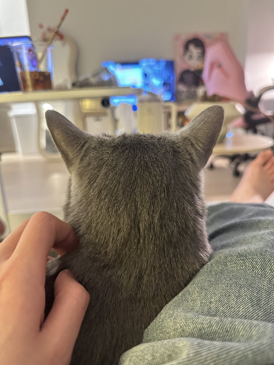 Shirley_chenn's tweet image. My sweetie will stay with me forever!