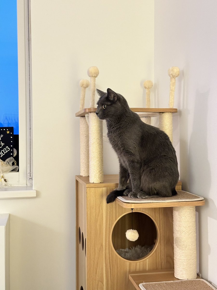 Shirley_chenn's tweet image. My sweetie will stay with me forever!