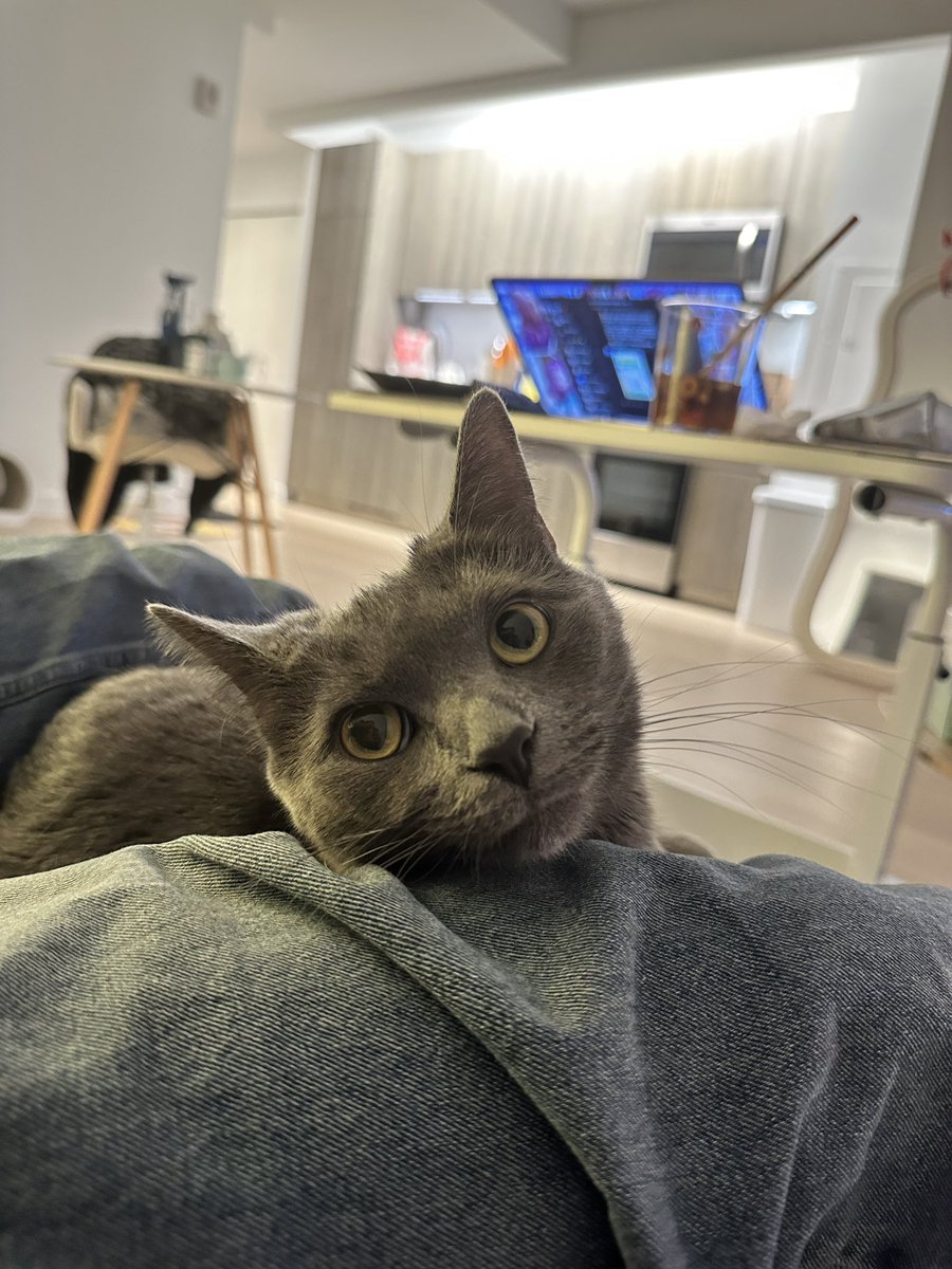 Shirley_chenn's tweet image. My sweetie will stay with me forever!