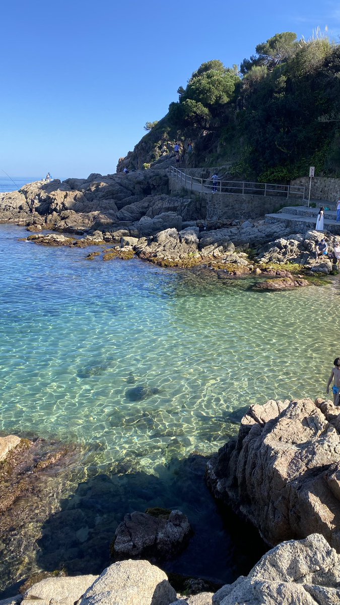 dissabte de tranquil. de molt de sol i poca feina.