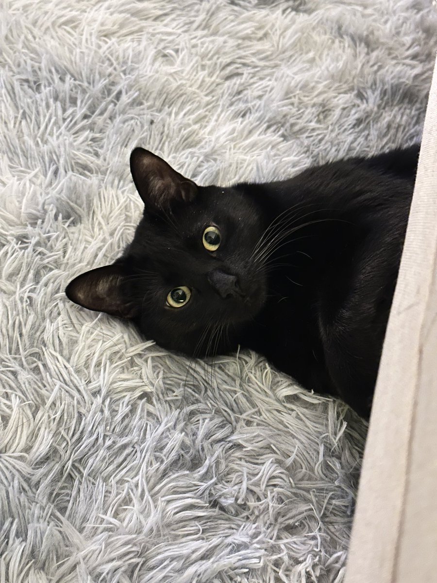 Shirley_chenn's tweet image. I'm so SCARY!