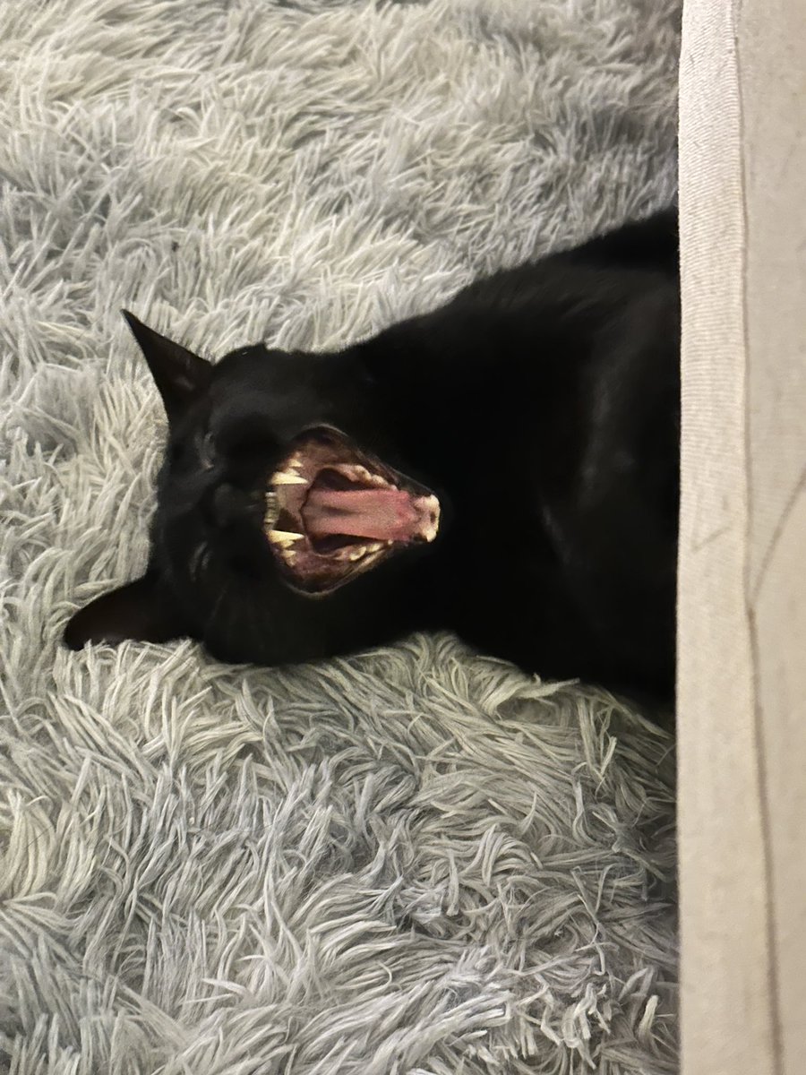 Shirley_chenn's tweet image. I'm so SCARY!