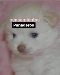 Sábado, lluvioso y frío? Estoy fantaseando desde que me levanté
