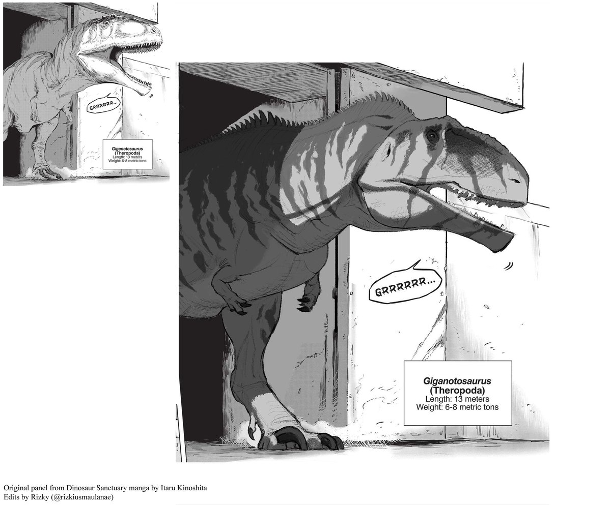 Finally bought and read Dinosaur Sanctuary manga and I'm enjoying it. Saw the Giga panel and got me curious to see how my JWD Giga I drew would look there. Looking forward to more sauropod oriented chapters.