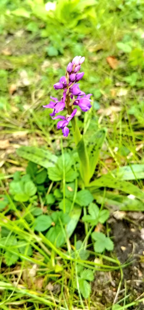 ArcherNormandie's tweet photo. Petite randonnée à la voie verte au #BecHellouin 🙏😍 https://t.co/kdsDHHQFDs