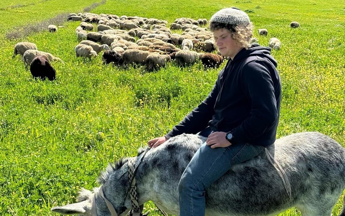 Benjamin Ajimeir era un adolescente de 14 años. Pastor. Judío. Tenía un burrito con el que cuidaba a su rebaño. Vivía en Judea, y trabajaba la tierra ancestral de su pueblo. Lo ha asesinado el terrorismo palestino. Ese que alientan ministros del gobierno de @sanchezcatejon y…