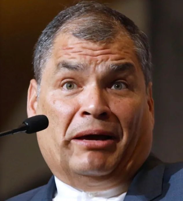 InsistAlfredo's tweet image. #pillo @MashiRafael  
“Dirige , protege y premia la corrupción”