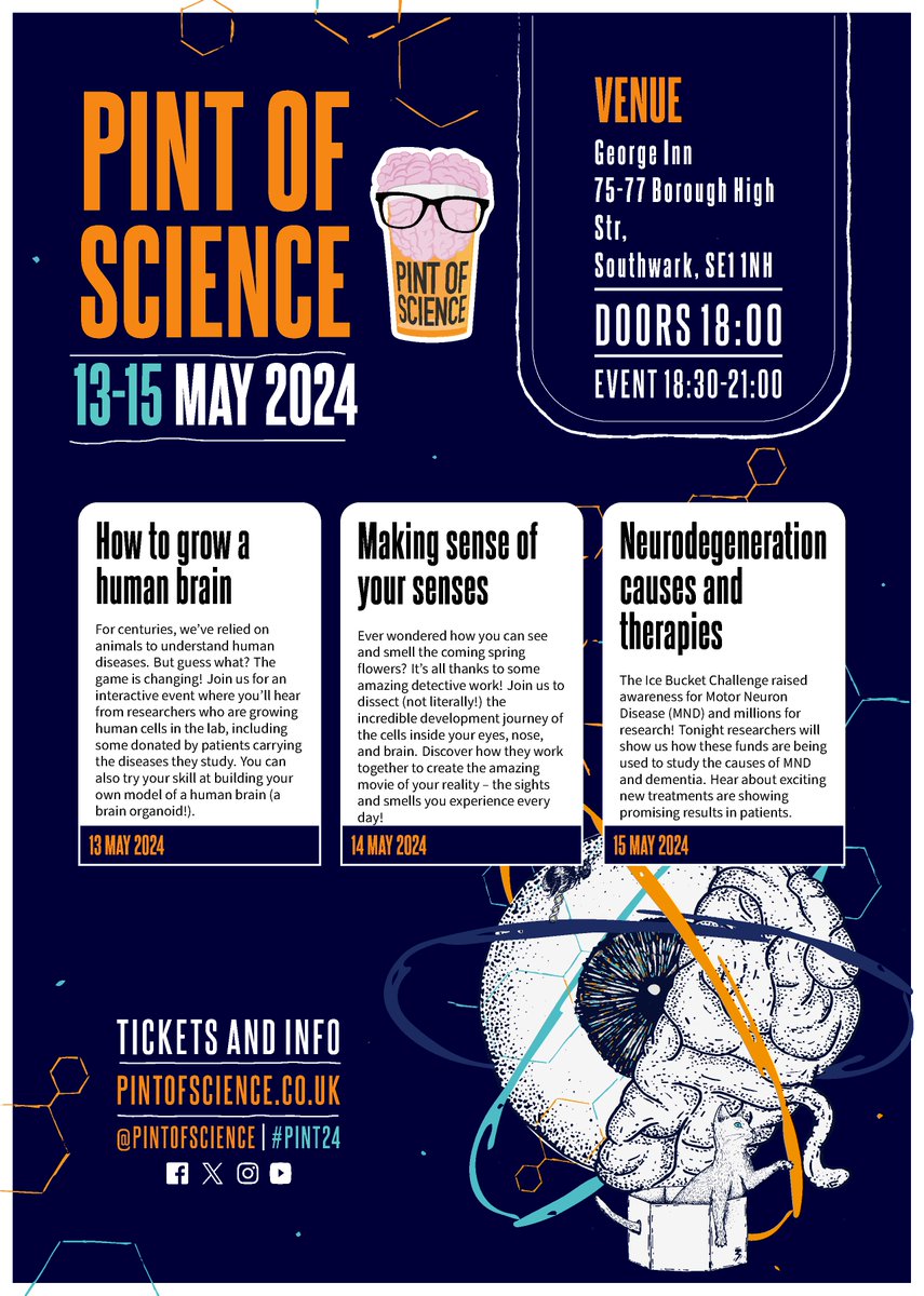 So excited that this year's tickets for the Pint of Science are on sale. Come to the George and hear from @errin_roy and @laupellegrini on growing brain organoids, @RobertHindges and @adorrego_r on how we see and hear and finally @PeteHarley95 on neurodegeneration. #pint24