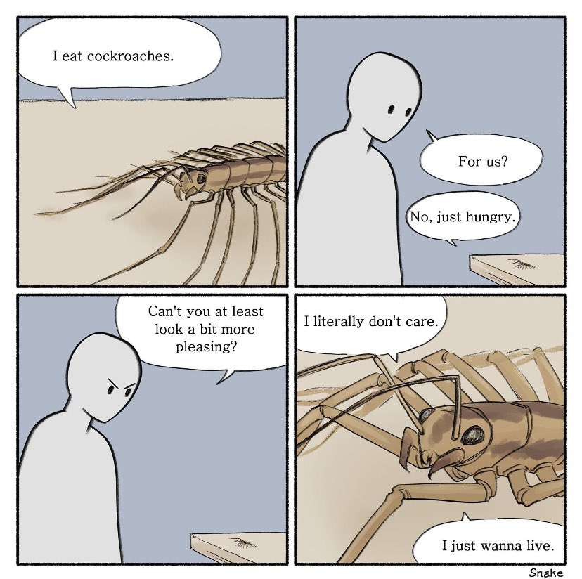 The poor misunderstood House centipede (Scutigera coleoptrata) might look really scary. But they’re actually pretty chill. These beautiful centipedes originated in the Mediterranean and have spread globally via trade. Original comic by SNAKE. #housecentipede #entomemeology