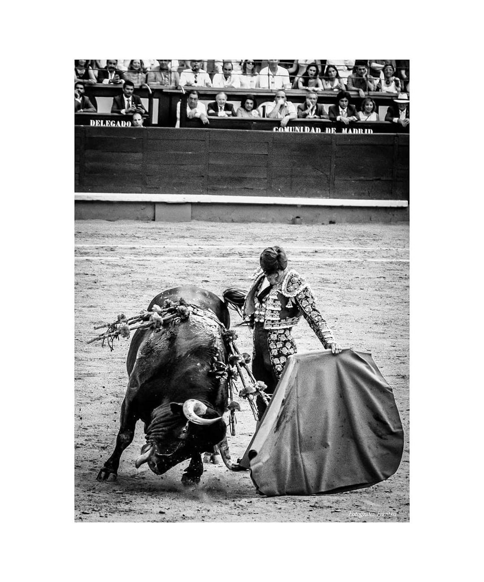 Matices

📷Iván Marcos  

@LasVentas @revtauromadrid @MiguelngelYez3 @ftorodelidia @Aibabur @CTL_toros