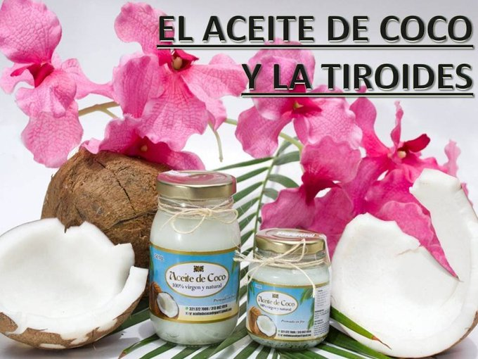 El aceite de coco debe ser usado diariamente por personas que padecen de la Tiroides. Freír con el aceite y/o incluirlo en sus ensaladas, es de gran utilidad.