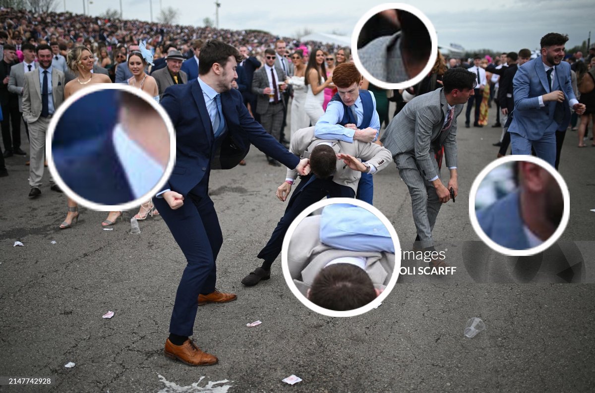 derek guy tweet media