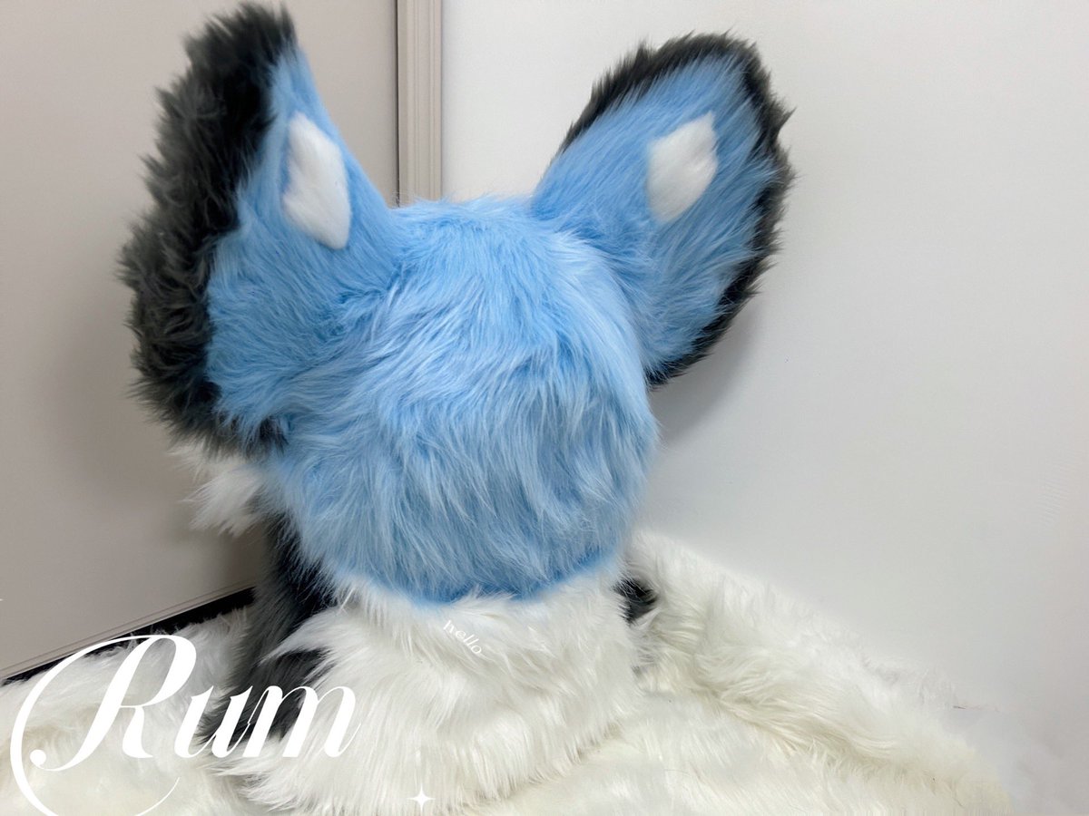 For sale💙 #fursuit #fursuitforsale #fursuitmaker #fursuithead
#fursuitcommissions #fursuitcommission #fursuits #kemono #furry #furrvfriends #furryfandom #furrvartwork