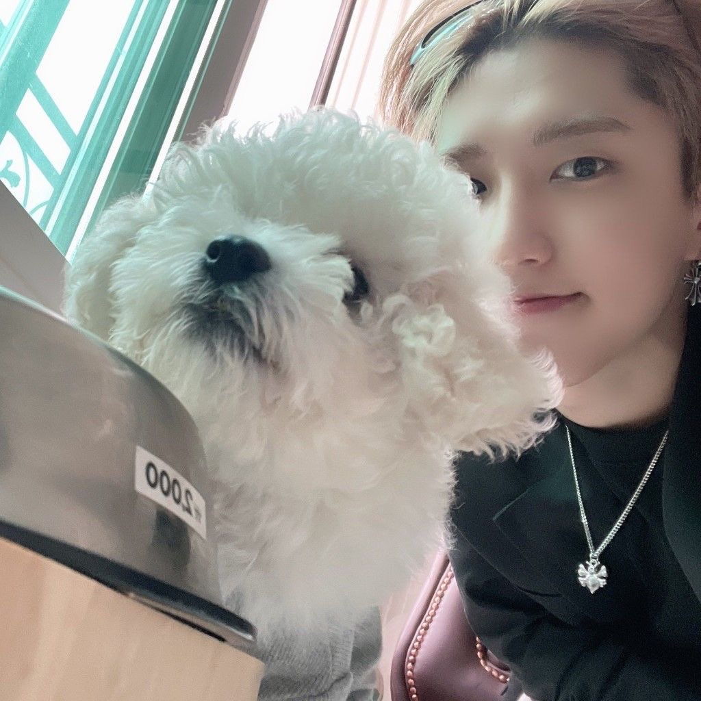 i just love hankook’ pets 😞🤍🐶( and i also love them too of course