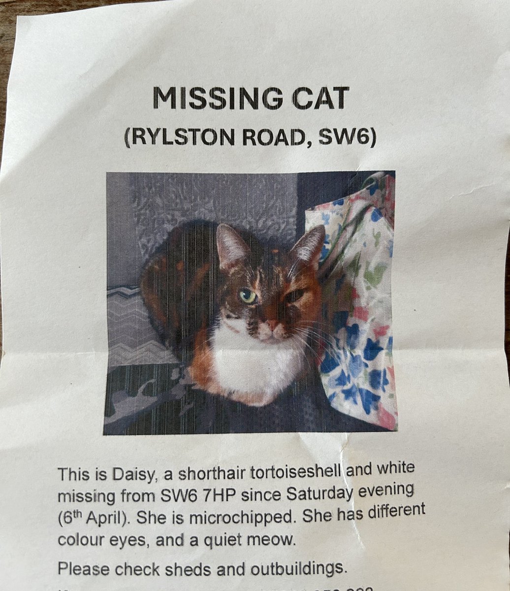 Please help an elderly lady in Fulham who has lost her cat! DM me if you have seen Daisy!