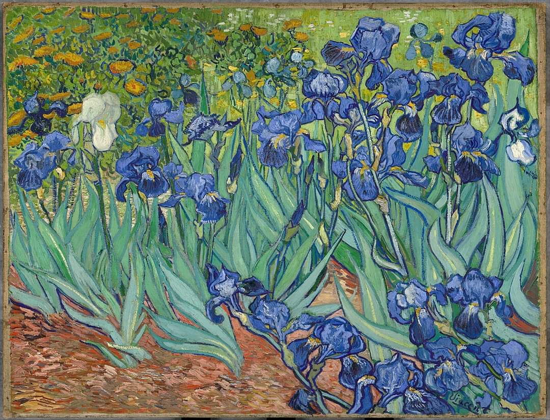 Vincent van Gogh Irises, 1889 Getty Museum, Los Angeles