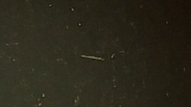 sumida_hunter's tweet photo. バチ抜け調査😎🌸🐛🐟
#APIA
#MEGASOUL
#C73H+
#ブルージュ190ss https://t.co/aXOcWhFSCE