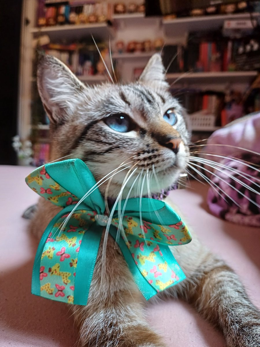 A falta que você me faz 💔😭