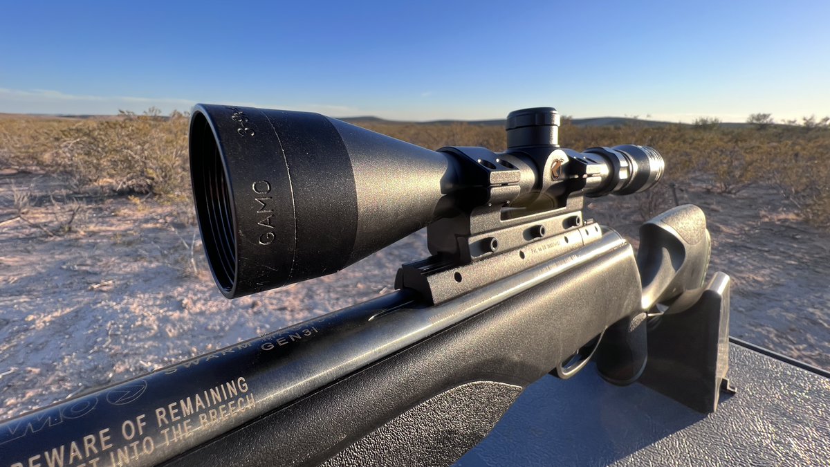 airgunweb's tweet photo. Have you seen this AirgunWeb video? https://t.co/iXBCNcv5aF
Product: Gamo Swarm Magnum Pro 10x Gen 3i
Provided by: Gamo USA
Photo by: Rick Eutsler
#gamoswarmmagnum #airguntutorial #gamomagnum #gamousa #gamoairguns #daisyairguns #airguns #shootingsports @gamooutdoor https://t.co/xKqZkhHKql