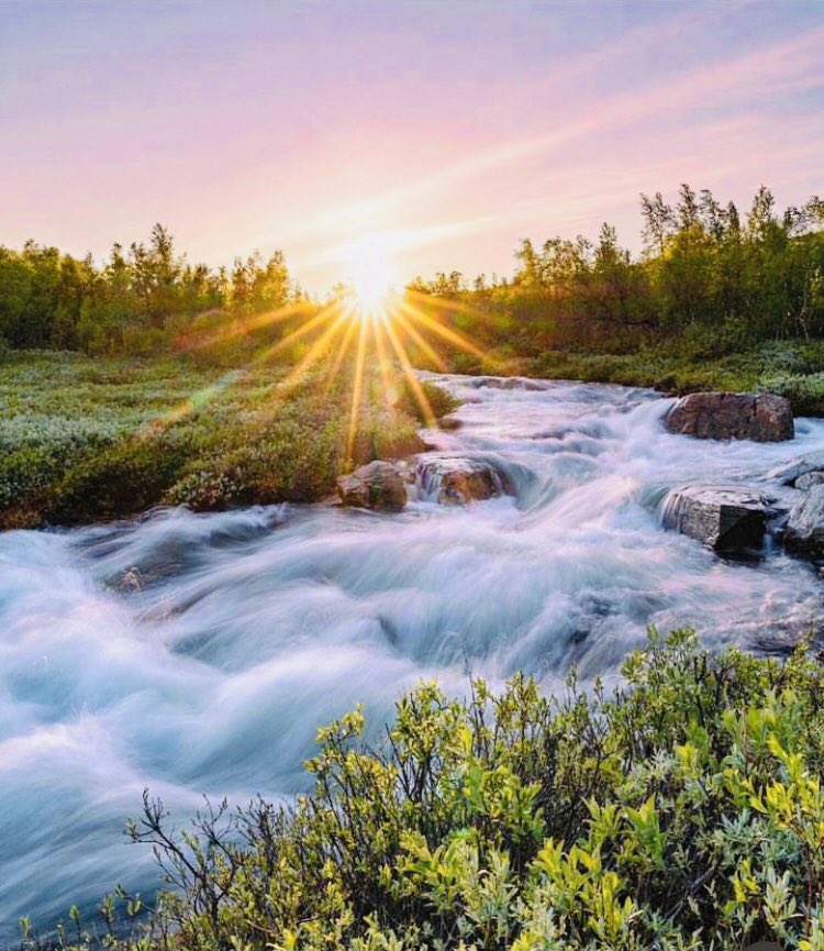 Ulla_Maija_M's tweet photo. #nature #photography #lapland #swedishlapland #zonek #taigapic https://t.co/YqvVZLwJDr