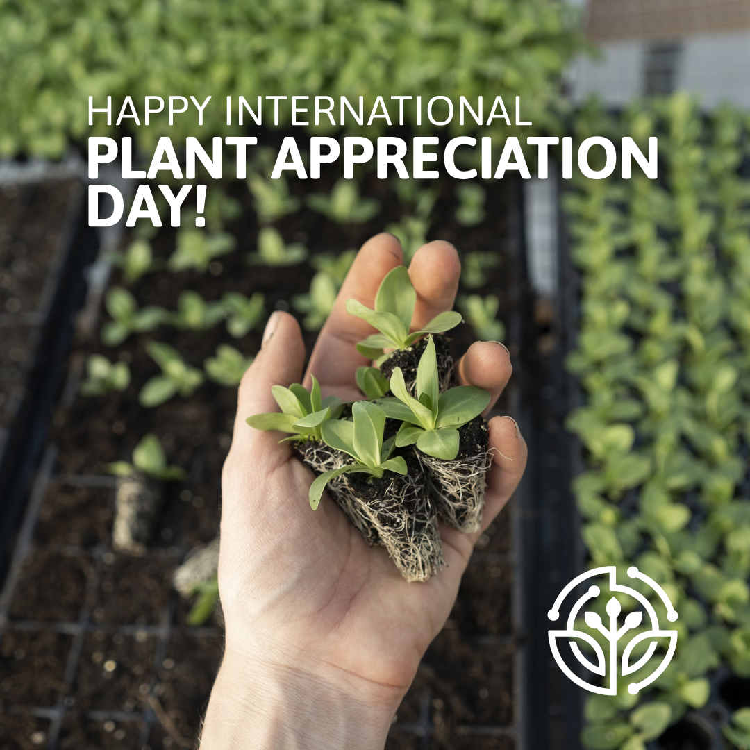 Plants have the potential to 🌱radically shape🌱 our world, from their contribution to climate control to their impact on our global food supply and advances in pharmaceuticals. Read about BTI’s groundbreaking research at our site! - #btiscience #plantscience #plantsarecool